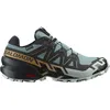 Image de Salomon Speedcross 6 GTX