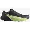 Image de Chaussures Salomon Pulsar noir vert clair - 42(2/3)