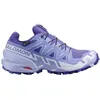Image de Salomon Speedcross 6 GTX