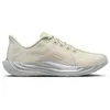 Image de Nike Pegasus Plus