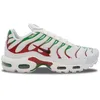 Image de Nike Air Max Plus TN Italy - DM0032-108_46