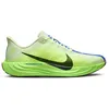 Image de Nike Pegasus Plus