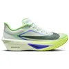 Image de Nike Zoom Fly 6