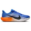 Image de Nike Pegasus Plus