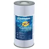 Image de Cartouche filtration piscine SWINCLEAR CX100XRE - HAYWARD 60