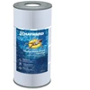 Image de Cartouche Filtration Piscine Swinclear Cx200xre - C200se