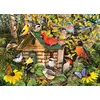 Image de Cobble Hill Puzzle Oiseaux Bird Cabin - 1000 Pièces De Plaisir