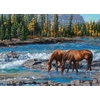 Image de Cobble Hill Puzzle Animaux Chevaux - Puzzle 1000 Pièces