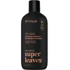 Image de Shampoing 2 en 1 Attitude Super Leaves Patchouli & Bourbon Orange 415 ml 11713