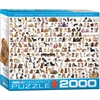 Image de Eurographics The World Of Dogs Jeu De Puzzle 2000 Pièce(s) Animaux