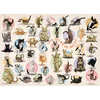 Image de Eurographics Puzzle Yoga Kittens - Puzzle Xxl Famille 500 Pièces Animaux