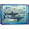 Image de Eurographics Sharks 1000pcs Jeu De Puzzle 1000 Pièce(s) Animaux