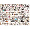 Image de Puzzle Eurographics 1000 pièces - World of Cats - Animaux - Adulte - 12 ans