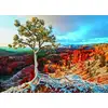 Image de Eurographics Puzzle Lever De Soleil D'hiver 1000 Pièces Carton