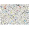 Image de Eurographics Le Monde Des Oiseaux (1000)