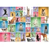Image de Eurographics Puzzle Yoga Dogs - 1000 Pièces Animaux Chiens