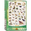 Image de Eurographics Puzzle Oiseaux Animaux - 1000 Pièces Puzzle Carton