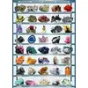 Image de Eurographics Puzzle Minéraux Du Monde - Puzzle 1000 Pièces
