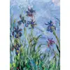 Image de Eurographics Puzzle Iris - Claude Monet - Puzzle D'art 1000 Pièces