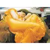 Image de Eurographics Puzzle Art Flaming June 1000 Pièces Carton