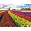 Image de Puzzle 1000 pièces : Champ de tulipes