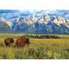 Image de Eurographics Puzzle Parc National De Grand Teton - 1000 Pièces Paysage