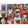 Image de Eurographics Puzzle Chiens Amusants Animaux - 1000 Pièces Carton