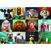 Image de Eurographics Puzzle Animaux Drôles 1000 Pièces Puzzle Animaux Carton