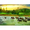 Image de Eurographics Puzzle Forêt Tropicale Sauvez La Planète - 1000 Pièces Animaux