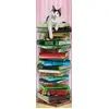 Image de Eurographics Academic Cat Panorama (1000)