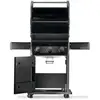 Image de Barbecue Gaz Horizontal Napoleon Fonte Noir 60 X 45 Cm