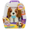 Image de Mon chiot beagle - moose toys - really real - little live pets - chiot interactif avec sons et réactions MOO0630996265482