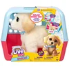 Image de Little live pets - Mon chien Ouchies MOOSE TOYS