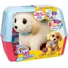 Image de Peluche - LITTLE LIVE PETS - Mon chien ouchies - Dès 5 ans