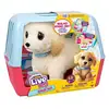 Image de Peluche interactive little live pets mon chien ouchies LIT0630996266793