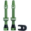 Image de Paire de valves Tubeless CushCore 55mm vert