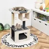 Image de COSTWAY Arbre à Chat Perchoir Large 42x42x80cm avec Poteau en Sisal Balle en Peluche 2 Niches pour Jeux Repos des Chats Charge 15KG