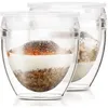 Image de Set 2 gobelets - BODUM - Pavina To Go - Double paroi plastique - Couvercle hermétique - 20 cl - Transparent