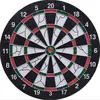 Image de Cibles de FléchettesCompétition Jeu de fléchettesDartboard Double Face Disque de Fléchettes avec 6 fléchettesJeu de société[549]