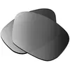 Image de Verres de rechange Oakley Frogskin Black Iridium