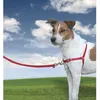 Image de Harnais pour chien - EASYWALK - Easy Walk® S - Rouge - Confortable et facile à utiliser