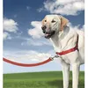 Image de Harnais L Easy Walk® - EASYWALK - Rouge - Pour chien