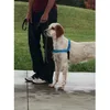 Image de PetSafe - Harnais pour Chien Deluxe Easy Walk (M) Réfléchissant Confortable Résistant Facile à Utiliser Anti-Traction - Bleu