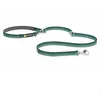 Image de Laisse pour chien Ruffwear Switchbak