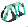 Image de Harnais pour chien Ruffwear Flagine - Vert - XS