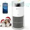 Image de Purificateur dAir pour Maisons avec Animaux-Amicura P2-Filtre HEPA H13843 m³/h CADR 450 m³/h de Particules Contrôle par App