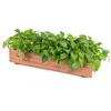 Image de COSTWAY Jardinière Rectangulaire en Bois de Sapin Pré-huilé 915x18x16 CM Bac à Fleurs avec Grain de Bois Naturel pour