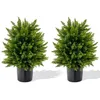 Image de COSTWAY Plante Artificiel Lot de 2 Boule Topiaire Cyprès 33 x 54 cm (Dia. x H) Pots Inclus. Décoration Intérieur Extérieur