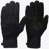 Image de Gants Black Diamond Everyday Fleece noir - M