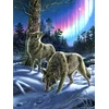 Image de Sunsout Puzzle Loups Et Aurores Boréales - Puzzle 1000 Pièces